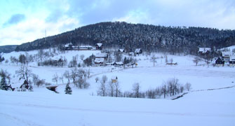 Rehefeld im Winter